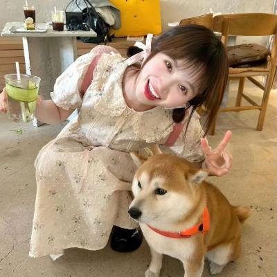 浮宫魅影